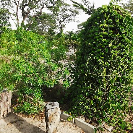 Happy Forest B&B Katima Mulilo Exterior foto