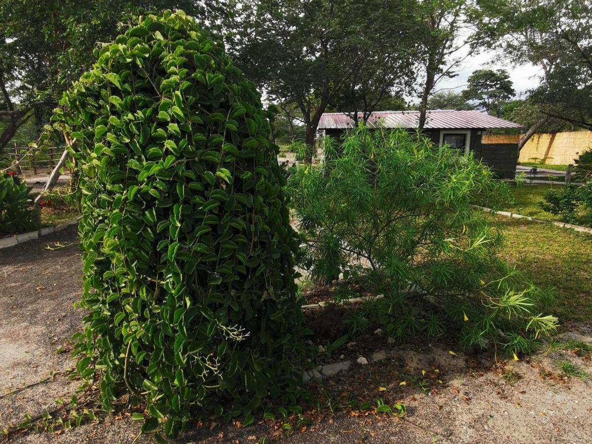 Happy Forest B&B Katima Mulilo Exterior foto
