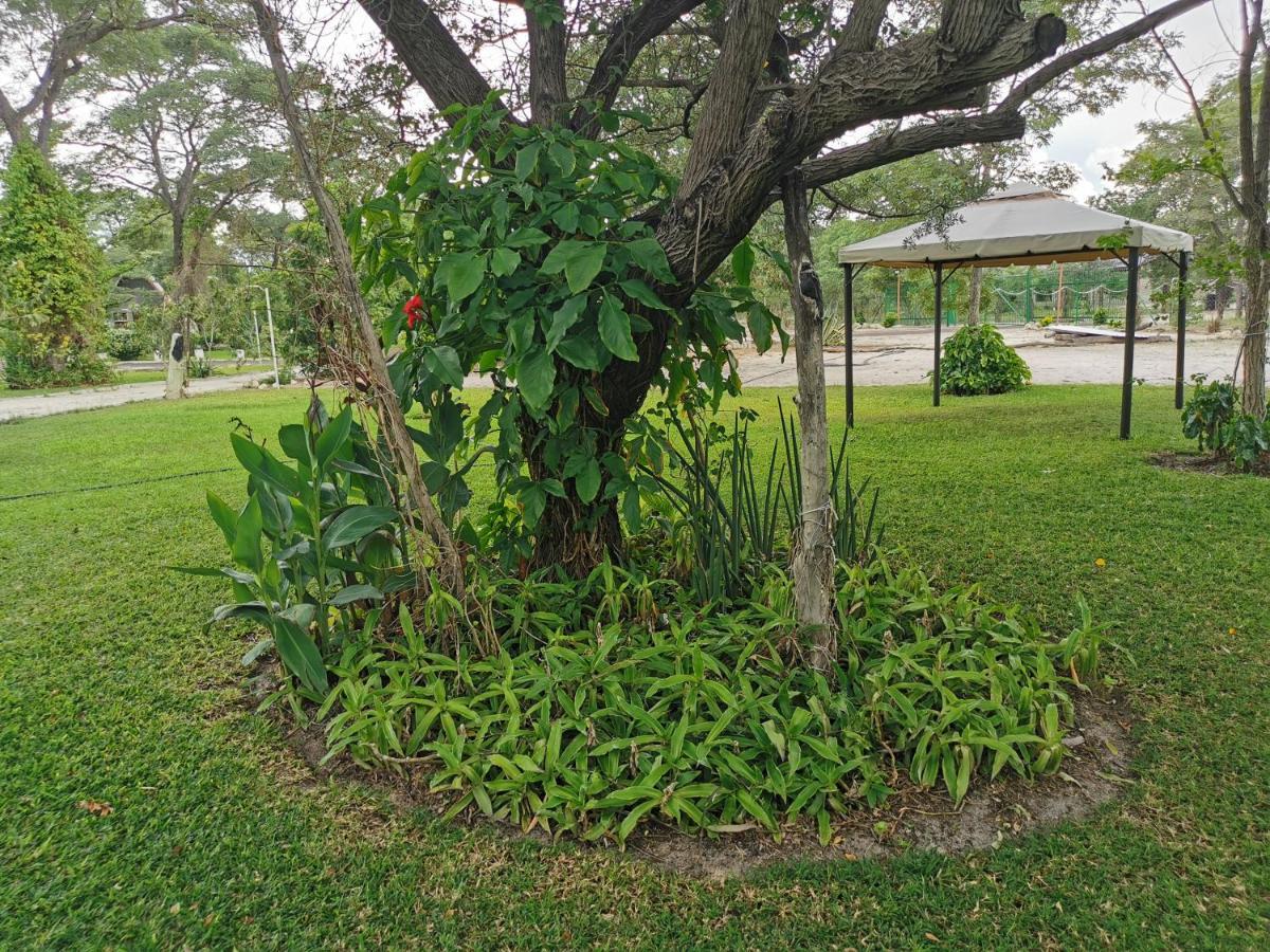 Happy Forest B&B Katima Mulilo Exterior foto