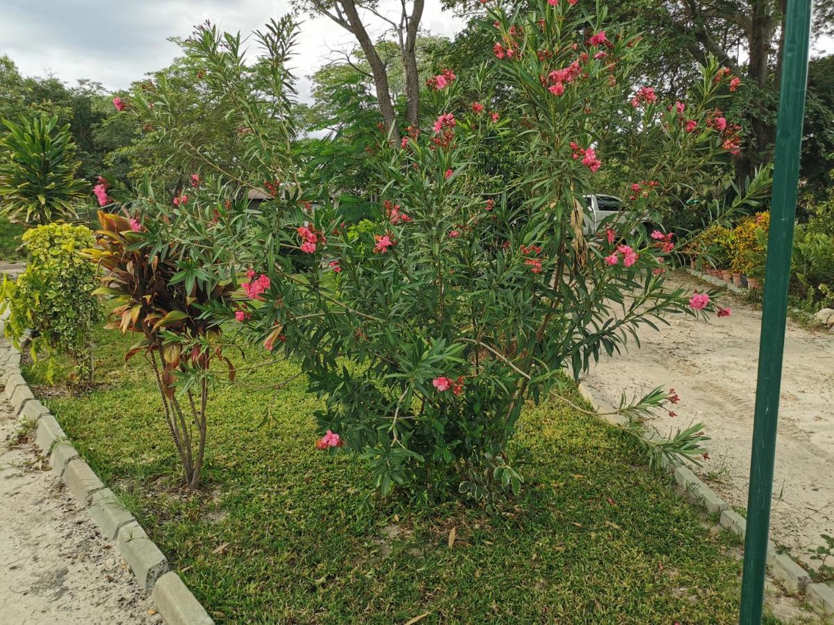 Happy Forest B&B Katima Mulilo Exterior foto