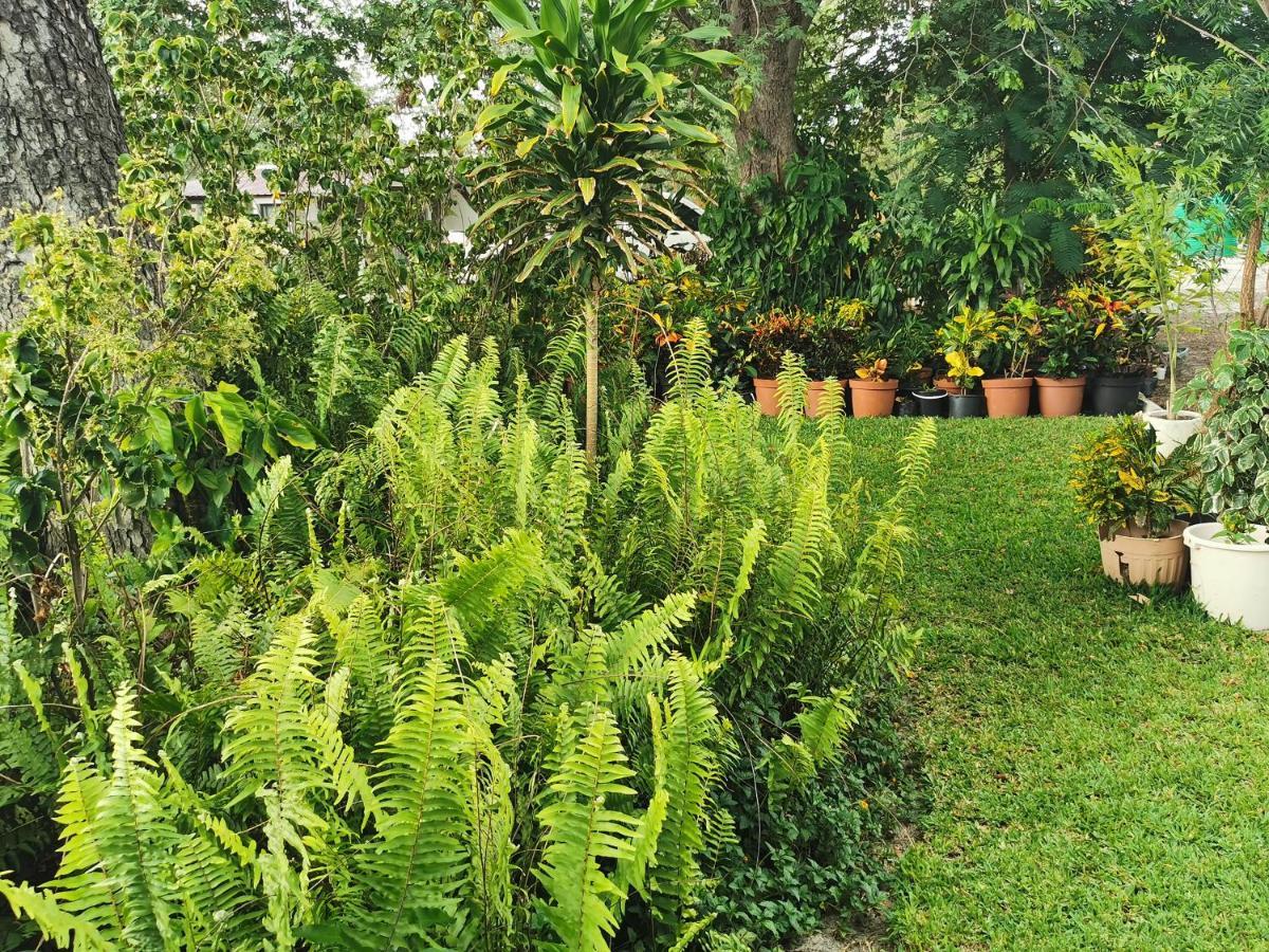Happy Forest B&B Katima Mulilo Exterior foto