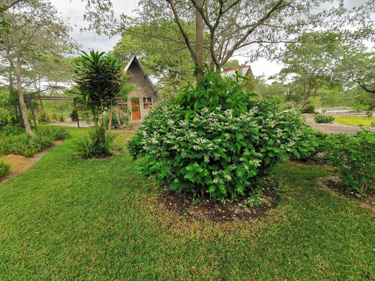 Happy Forest B&B Katima Mulilo Exterior foto