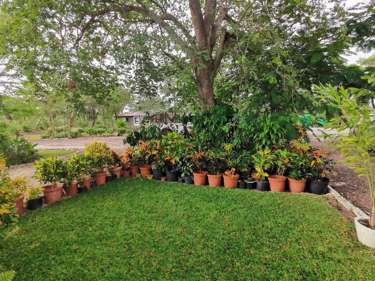 Happy Forest B&B Katima Mulilo Exterior foto