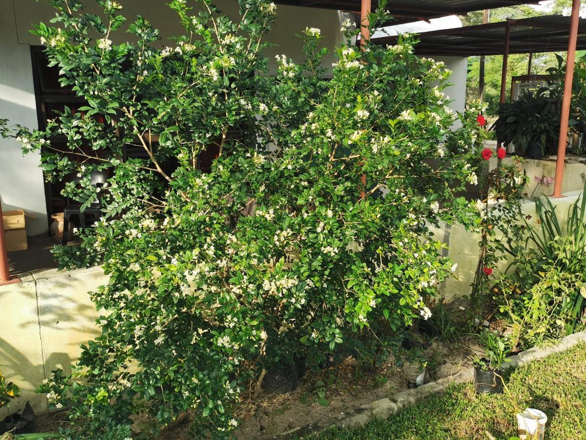 Happy Forest B&B Katima Mulilo Exterior foto