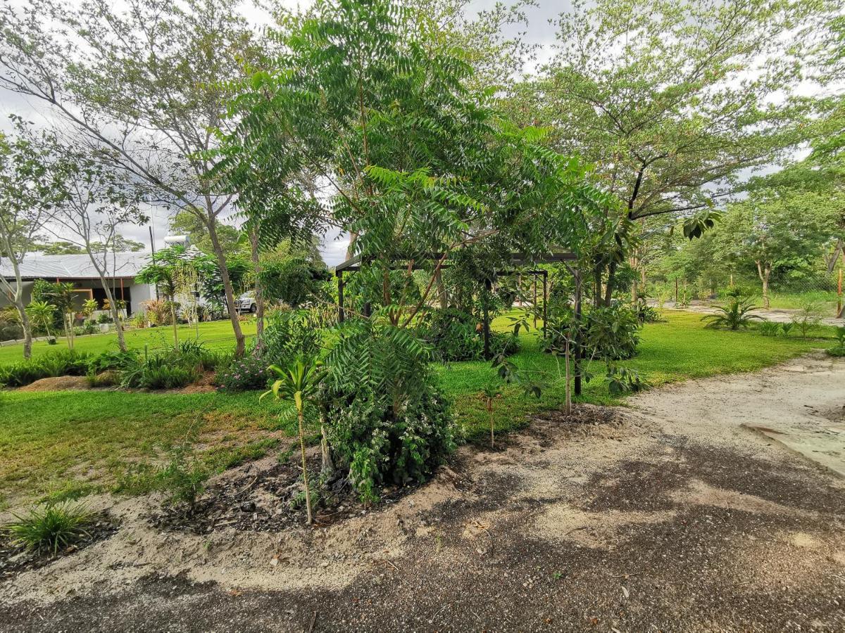 Happy Forest B&B Katima Mulilo Exterior foto