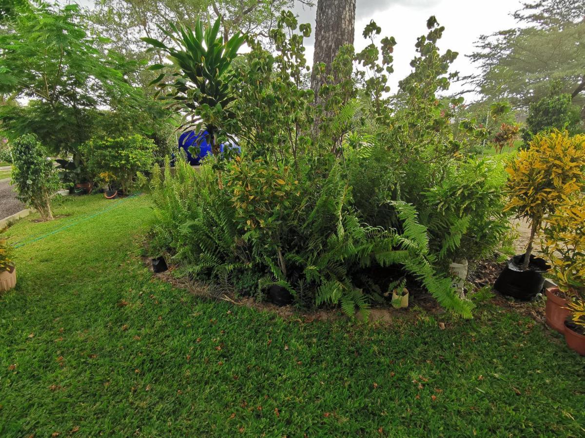 Happy Forest B&B Katima Mulilo Exterior foto