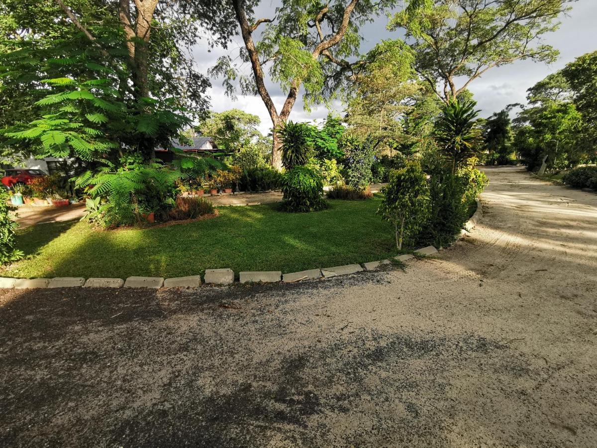 Happy Forest B&B Katima Mulilo Exterior foto