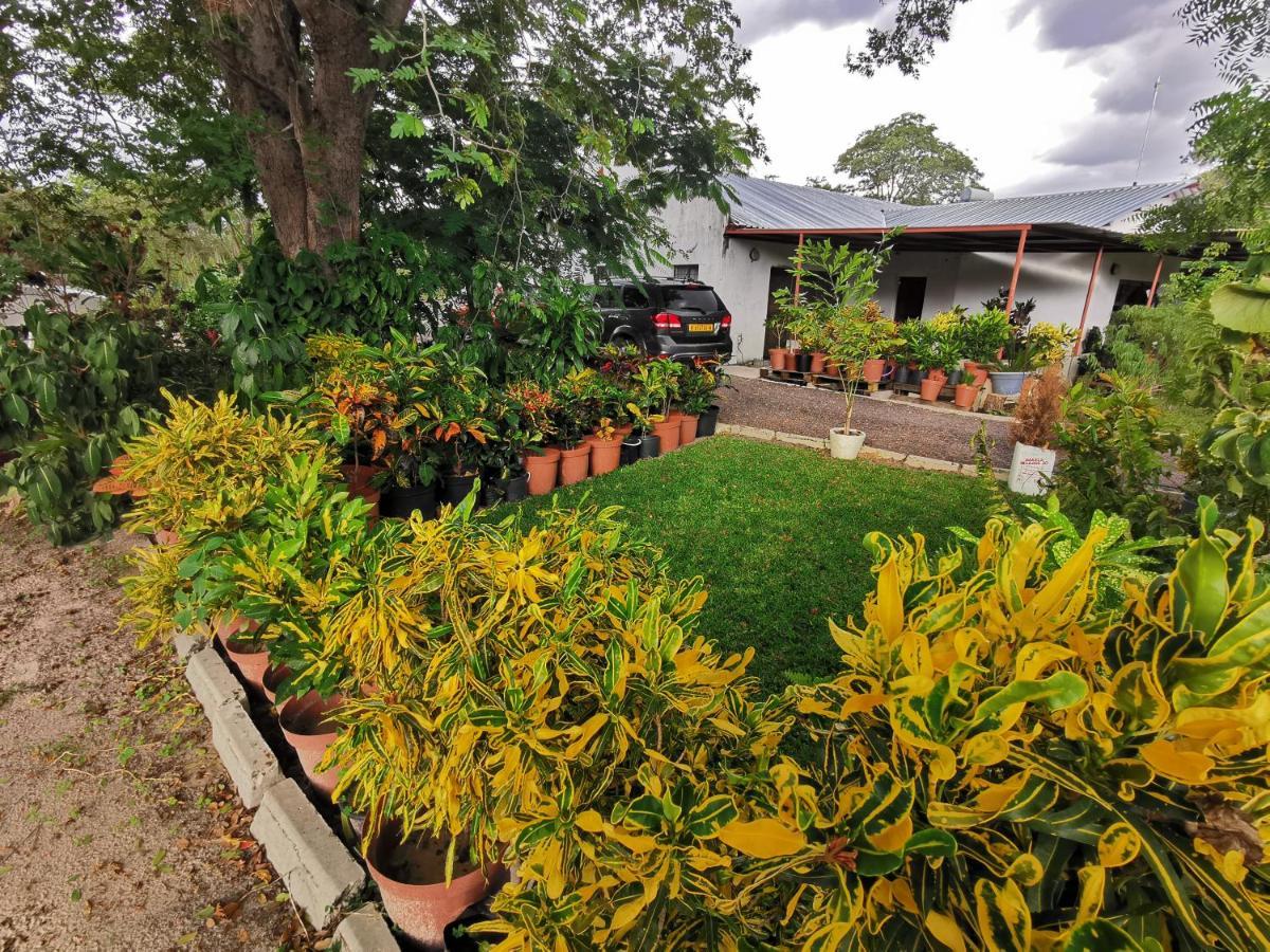 Happy Forest B&B Katima Mulilo Exterior foto