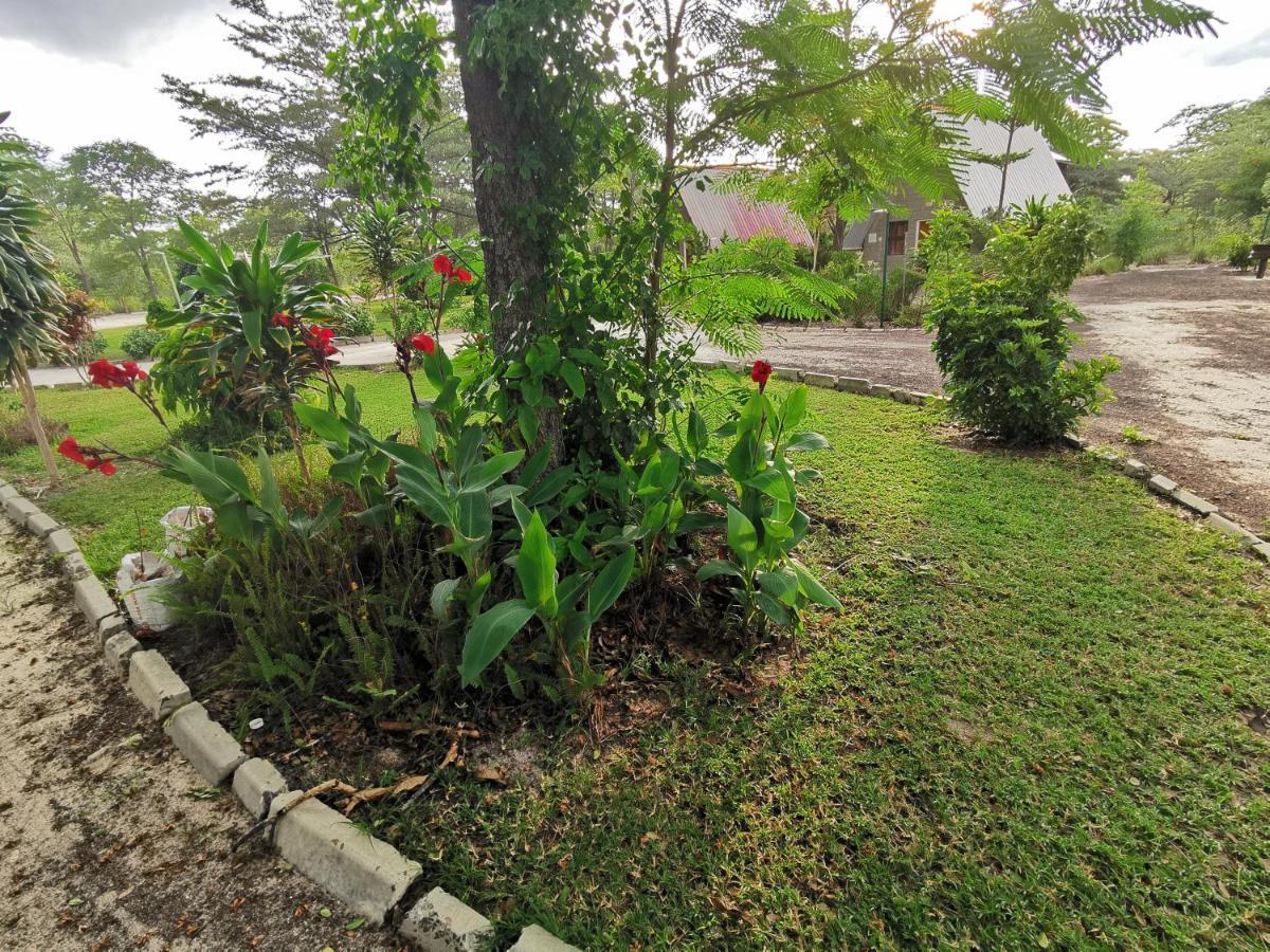 Happy Forest B&B Katima Mulilo Exterior foto