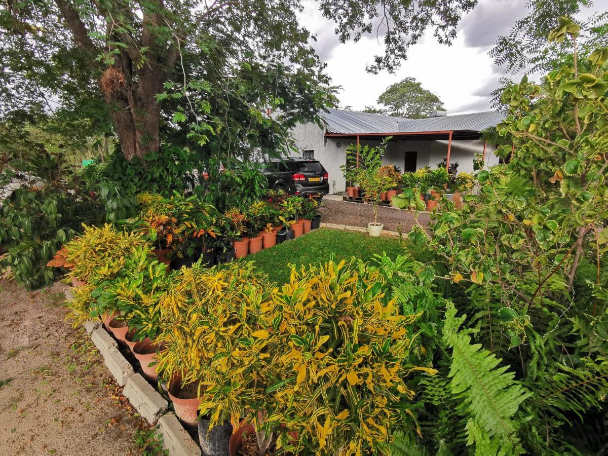 Happy Forest B&B Katima Mulilo Exterior foto