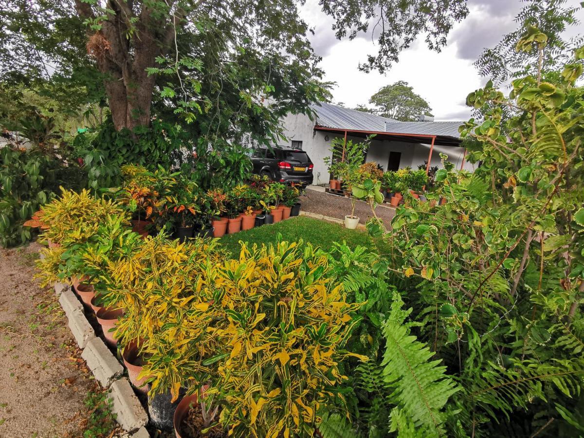 Happy Forest B&B Katima Mulilo Exterior foto
